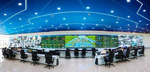 金鼎鋼鐵 以信息技術研發之“綠”，鑄就發展底色中的別樣“紅”